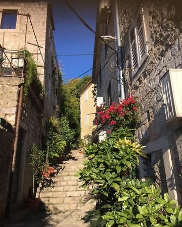 Apartment Simo Herceg Novi Buitenkant foto