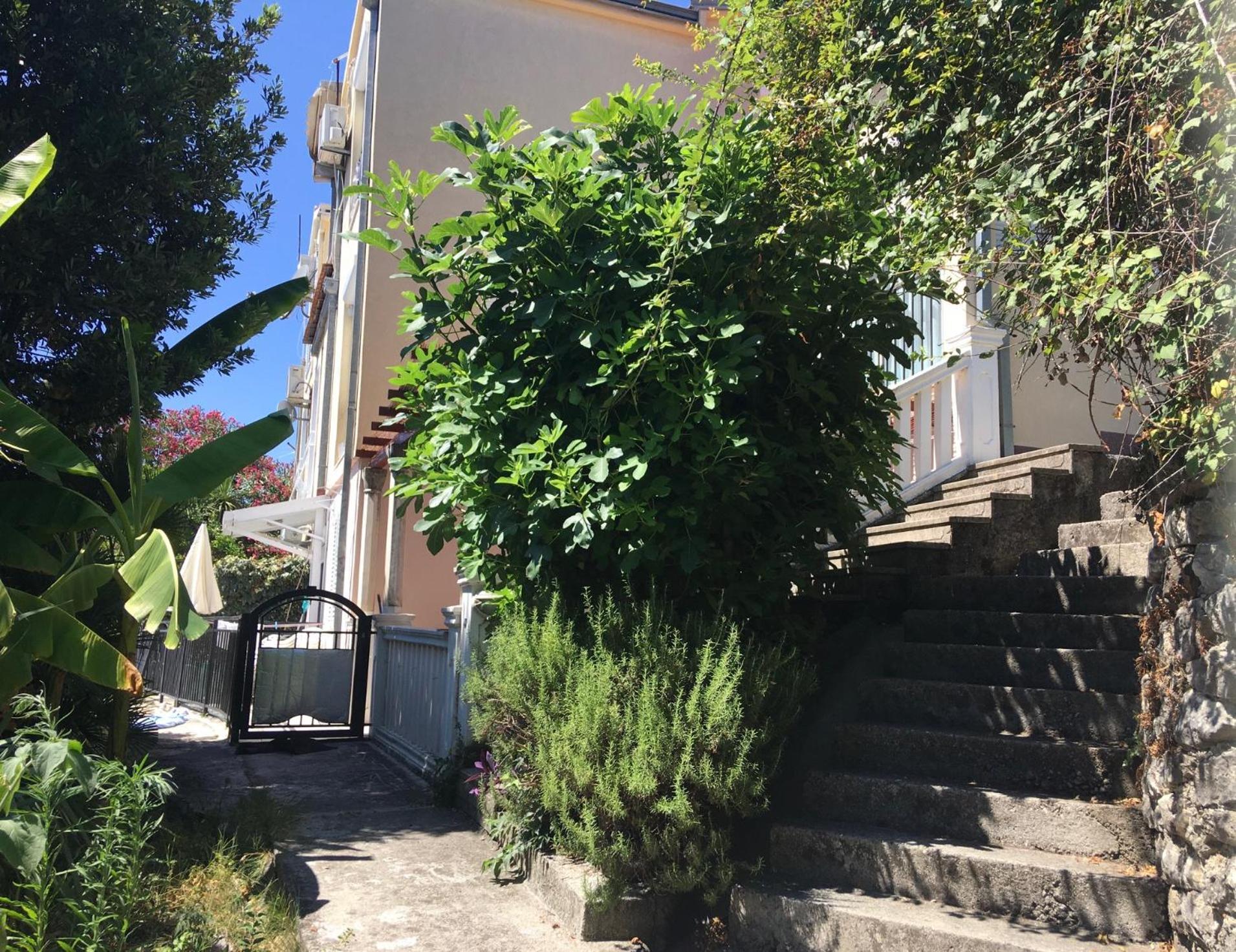 Apartment Simo Herceg Novi Buitenkant foto