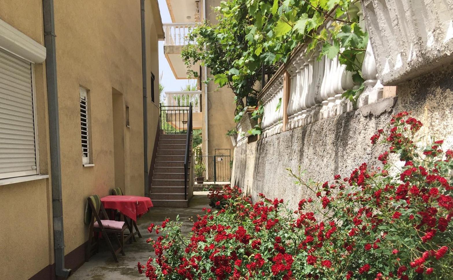 Apartment Simo Herceg Novi Buitenkant foto